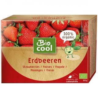 BIO TK Erdbeeren