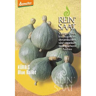 BIO Kürbis Blue Ballet