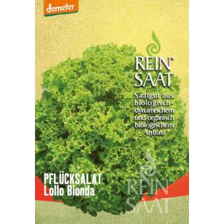 BIO Pflücksalat Lollonda